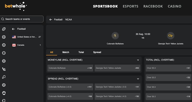 A snapshot of BetWhale, one of our top rated Georgia sports betting sites.